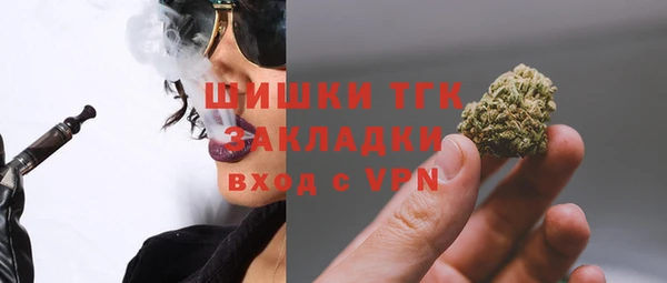 молекула духа Майский