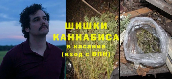 молекула духа Майский