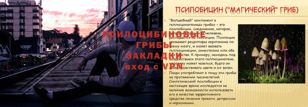 СК Магас