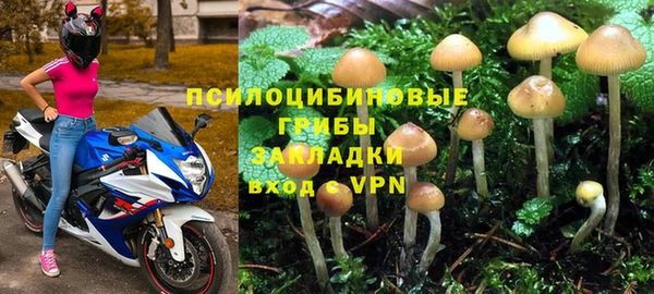СК Магас