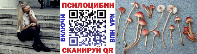 что такое   Приволжский  Псилоцибиновые грибы мицелий 